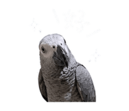 843894007
