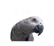 843894009
