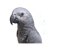 843894012