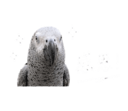 843894013