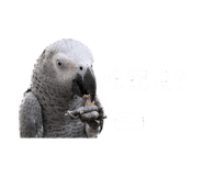 843894014