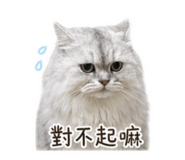 843894222