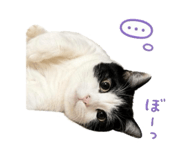 843894599