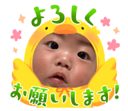 843894956