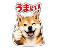 843895527