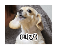 843909720