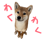 843910529