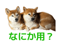 843910533