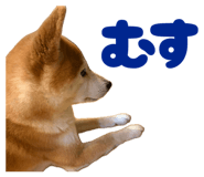 843910537