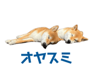 843910539