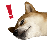 843910548