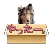 843910719