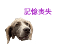 843910787