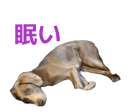 843910789