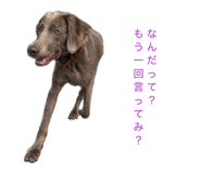 843910797