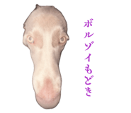 843910806