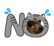 843910821