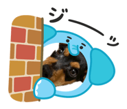 843910824
