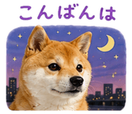 843911090