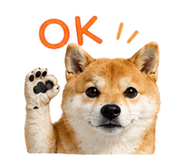 843911096
