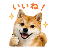 843911102