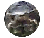 843911192