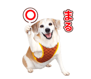 843911237