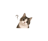 843919596