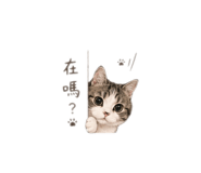 843919603