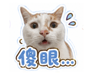843920821