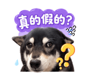 843921583