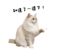 843921796