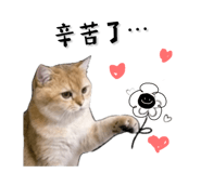 843921803