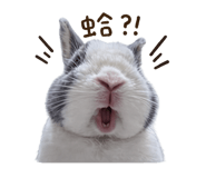 843924968