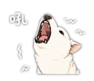 843925076