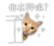 843925412