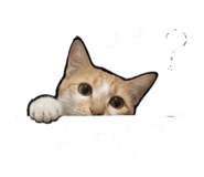 843925423
