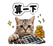 843926268