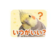 843927440