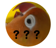 843927795