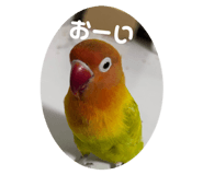 843927797