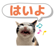 843928334
