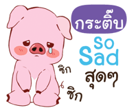 843932978