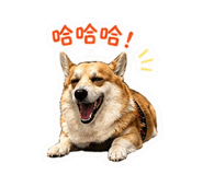 843935503