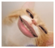843935569
