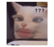 843935571