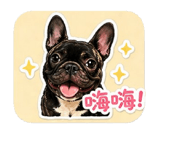 843936337