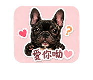 843936338