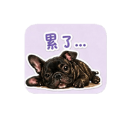 843936342