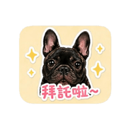843936355